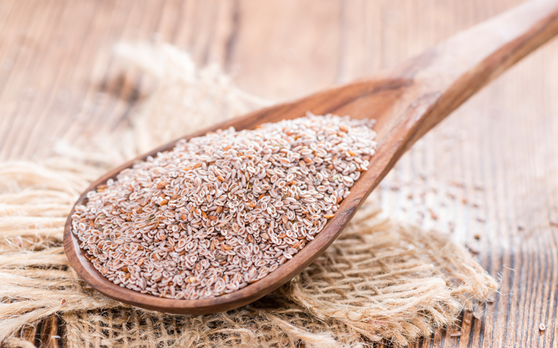Psyllium Seeds