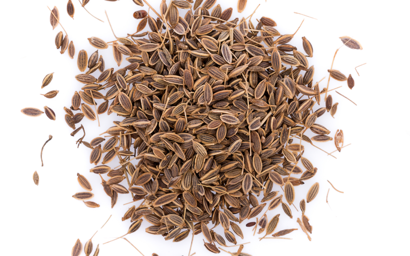 Unjha Psyllium