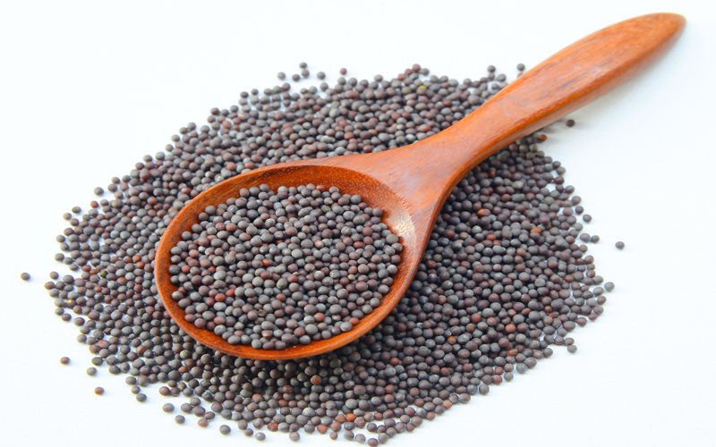 Black Mustard Seeds